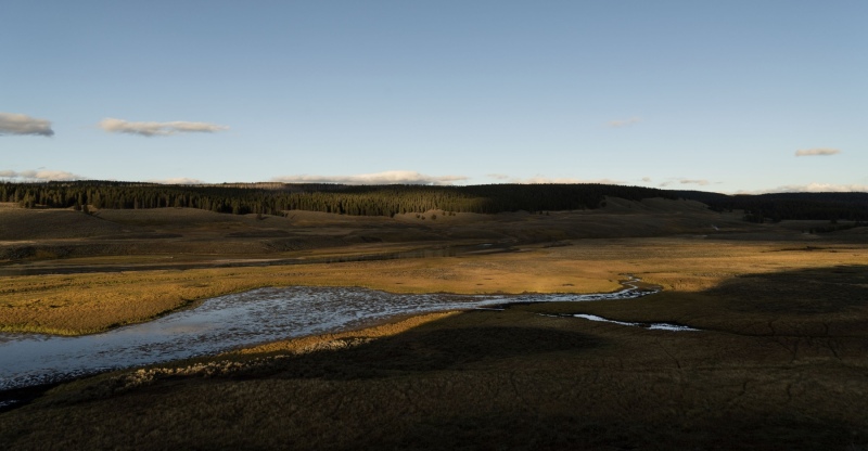 Hayden Valley-2