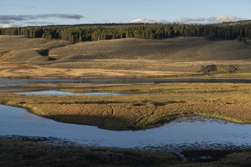 Hayden Valley-6