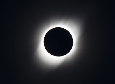 31_2019_TE_SSH3700crop-j