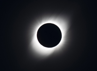 31_2019_TE_SSH3700crop-j