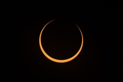 annular_SHR8149j