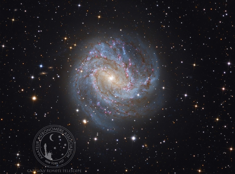 M83-Dhaval-Brahmghatt-GRT-South