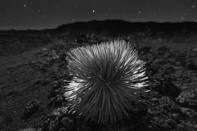 Haleakala-11
