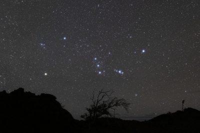 1008_SHV6361j-orion