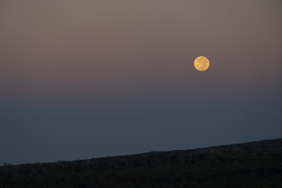1017_SHR4632j-kahuku-moonset