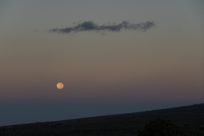 1017_SHR4635j-kahuku-moonset