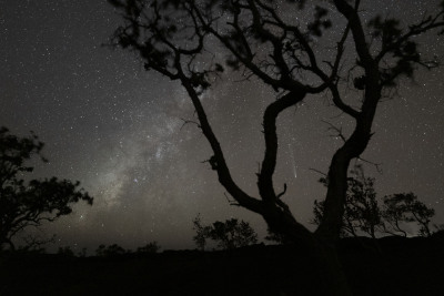 1024_SHS5027j-kahuku-MW-comet
