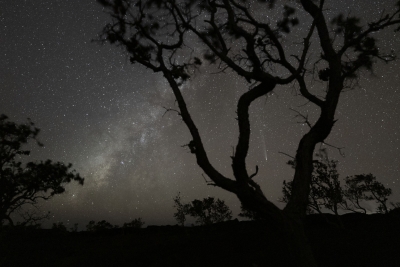 1024_SHS5027j-kahuku-MW-comet
