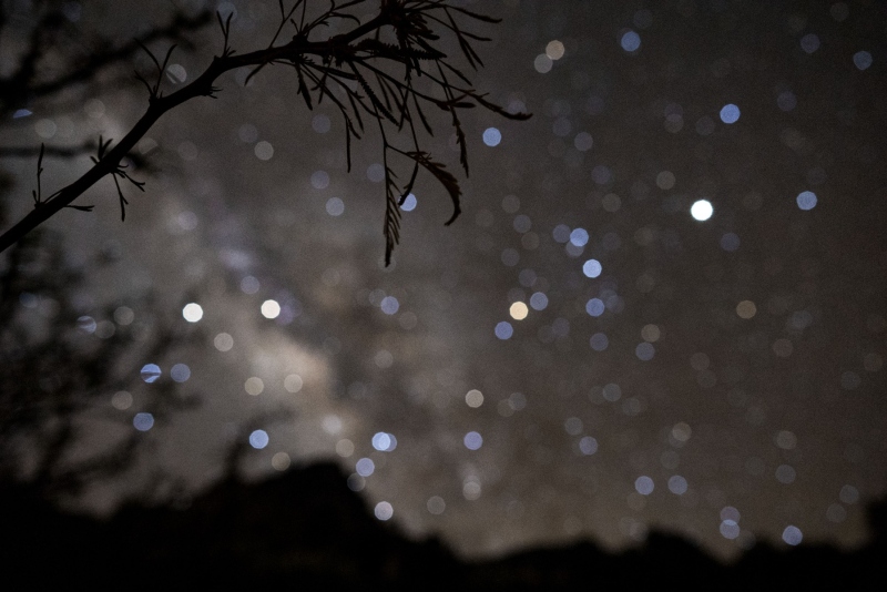 06-BigBend_DSC1083t-rev2