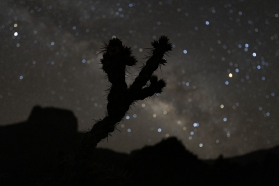BigBend_SHV0682j