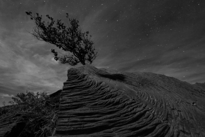 HVNP-2_SHS1628web