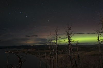 aurora_L1001382j