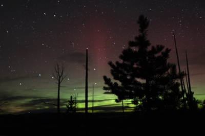 aurora_L1001422j