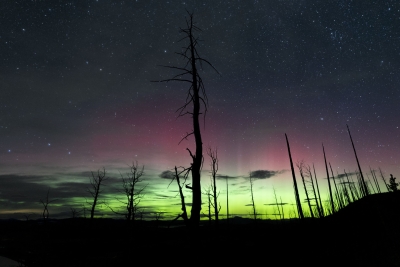 aurora_SHS7304j3
