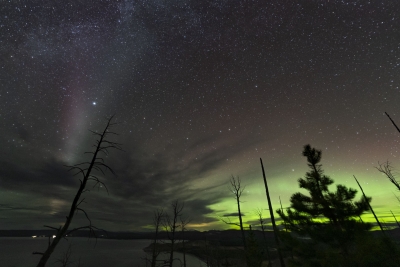 aurora_SHS7337j-rev