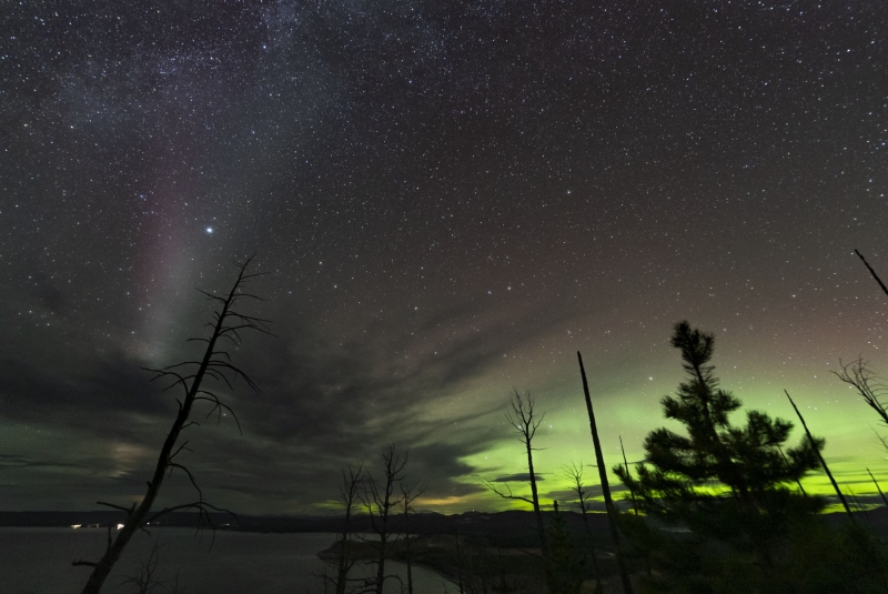aurora_SHS7337j-rev