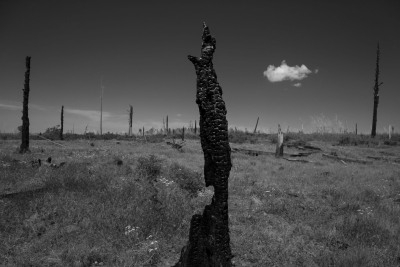GC_DSC09554b