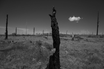 GC_DSC09554b