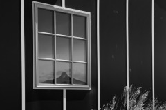 2HM-DSC05188j