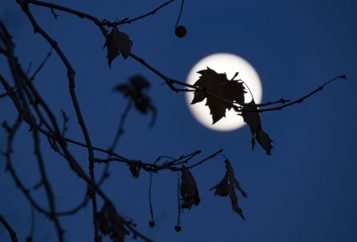 09_NY-moon-leaf-dec2016j