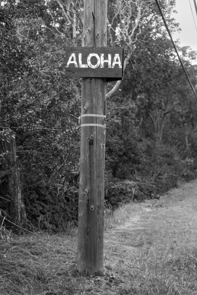 SHS5069j-aloha