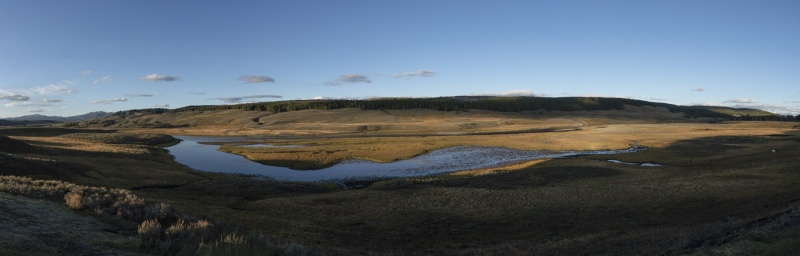 Hayden Valley-1