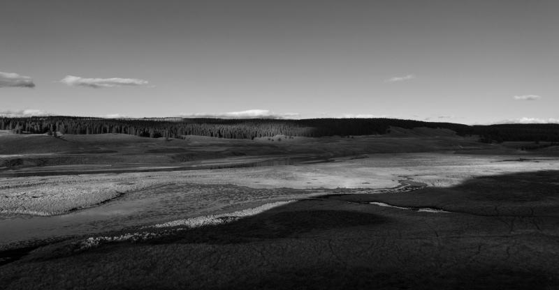 Hayden Valley-2b