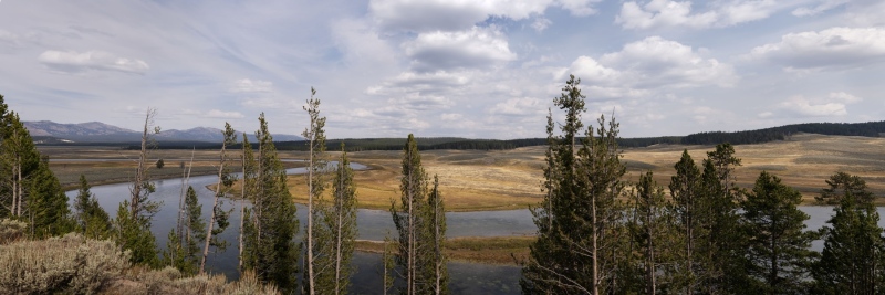 Hayden Valley-3