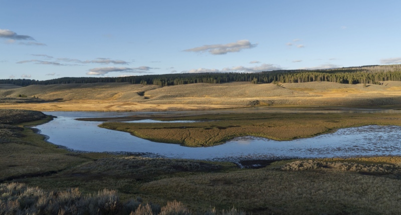 Hayden Valley-4
