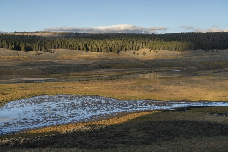 Hayden Valley-5