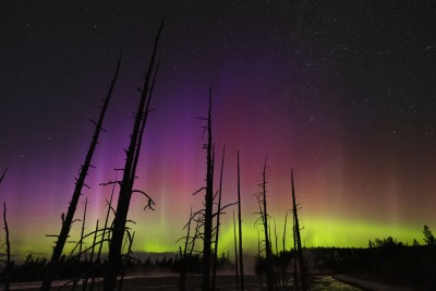 yellowstone_SHS2803j