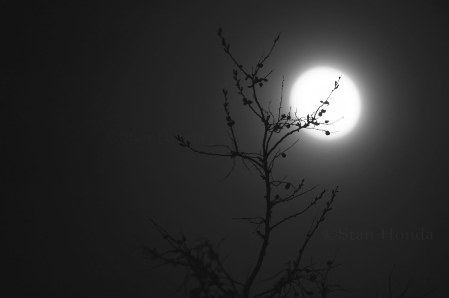 Full moon, Grant, New Mexico, 2014