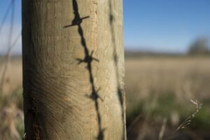 Barbed wire shadow.
