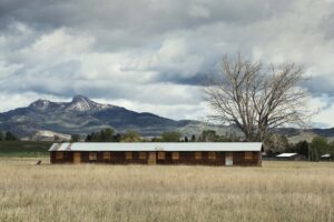 Barracks and tree in meadow, Heart Mountain on the horizon.