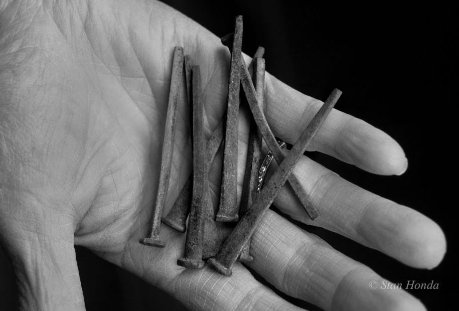 Square nails dating from original construction found on a farm where a barracks was used as an animal enclosure.